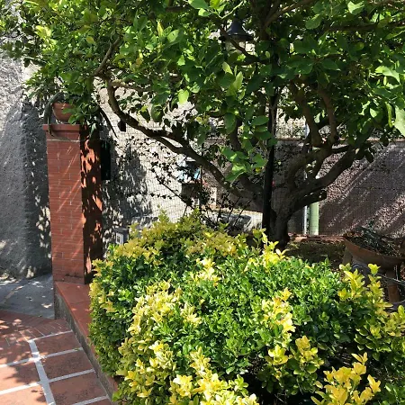 Regina Di - Truglio- Capri