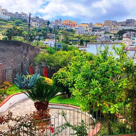 Regina Di - Truglio- * Capri
