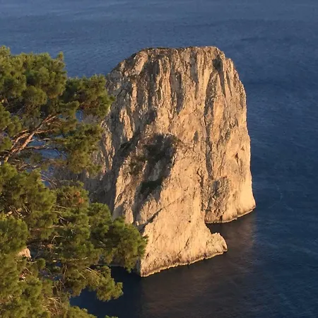 Regina Di - Truglio- * Capri
