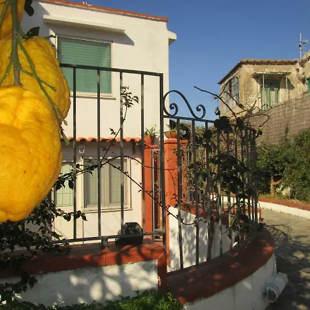 Regina Di - Truglio- * Capri